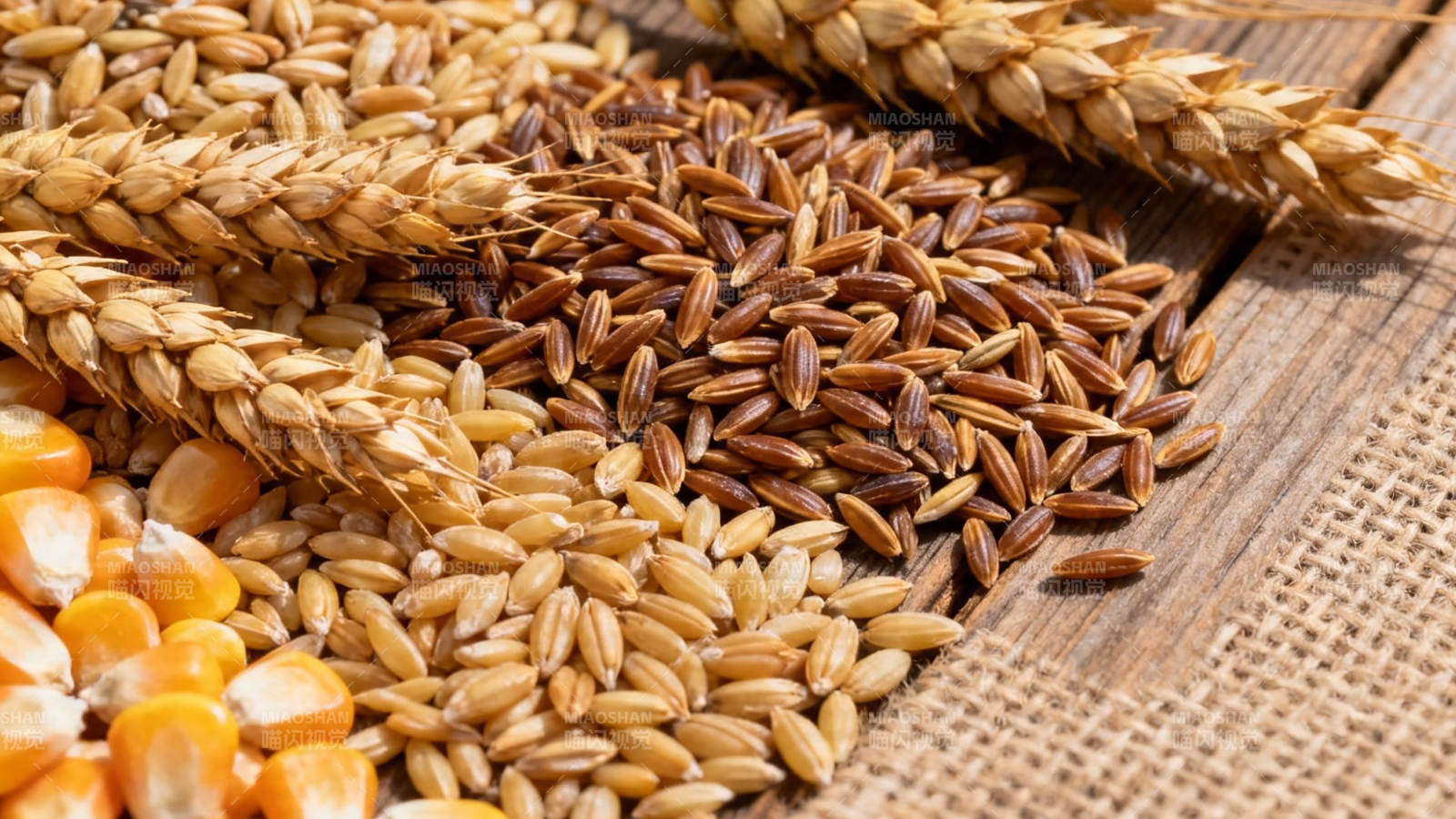 五谷丰登 天然粮仓图片