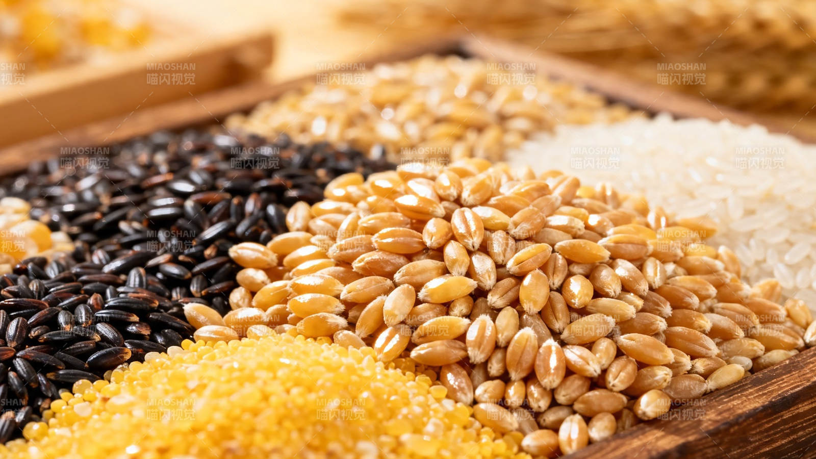 五谷杂粮 营养健康之选图片