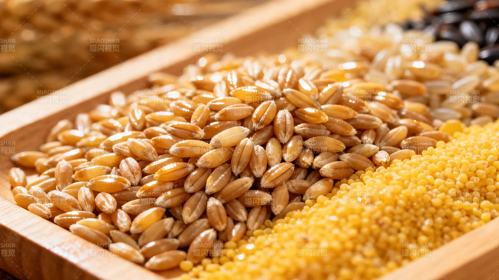 五谷丰登 粮满木盘图片