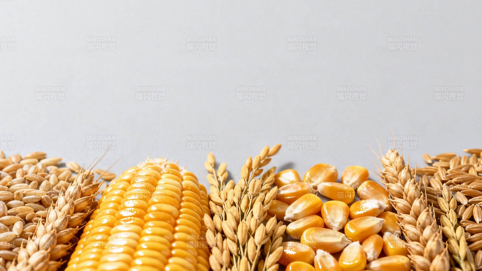 玉米小麦丰收景图片