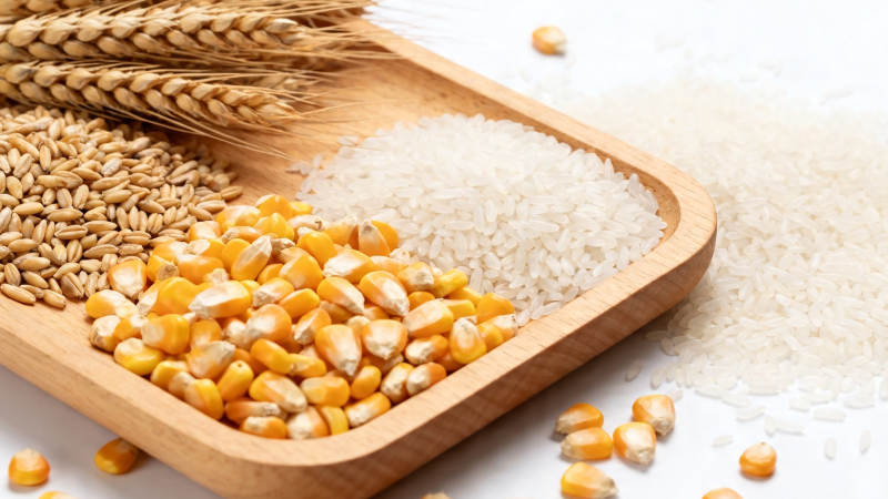 五谷杂粮 健康之源图片