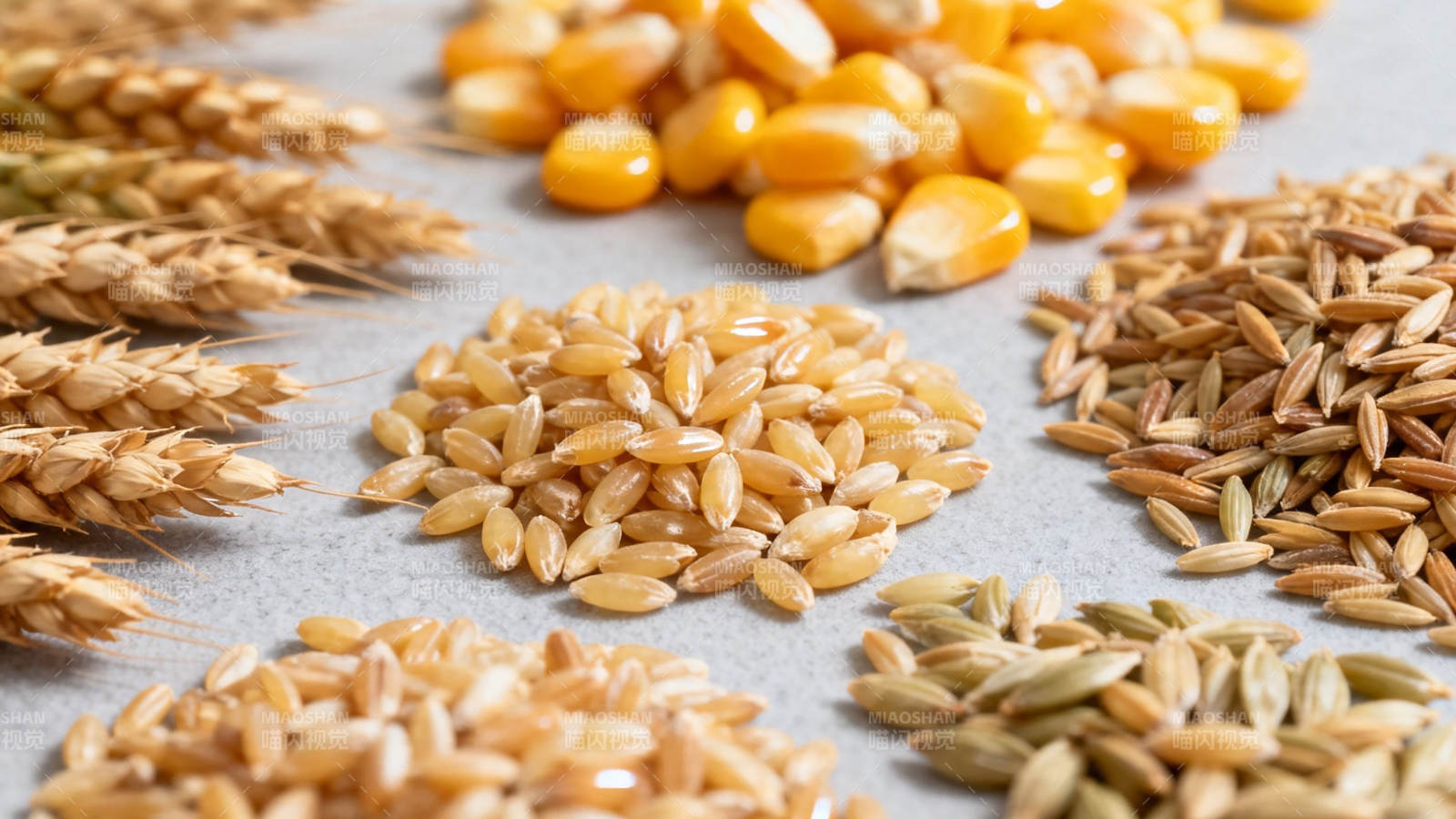 五谷杂粮展示图图片