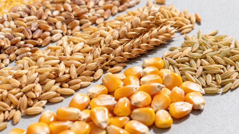 五谷杂粮特写图图片