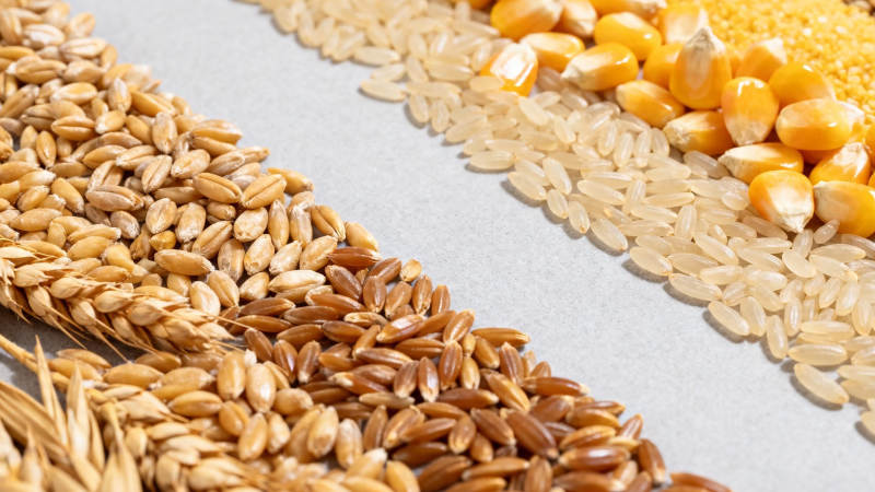 五谷杂粮拼盘展示图片