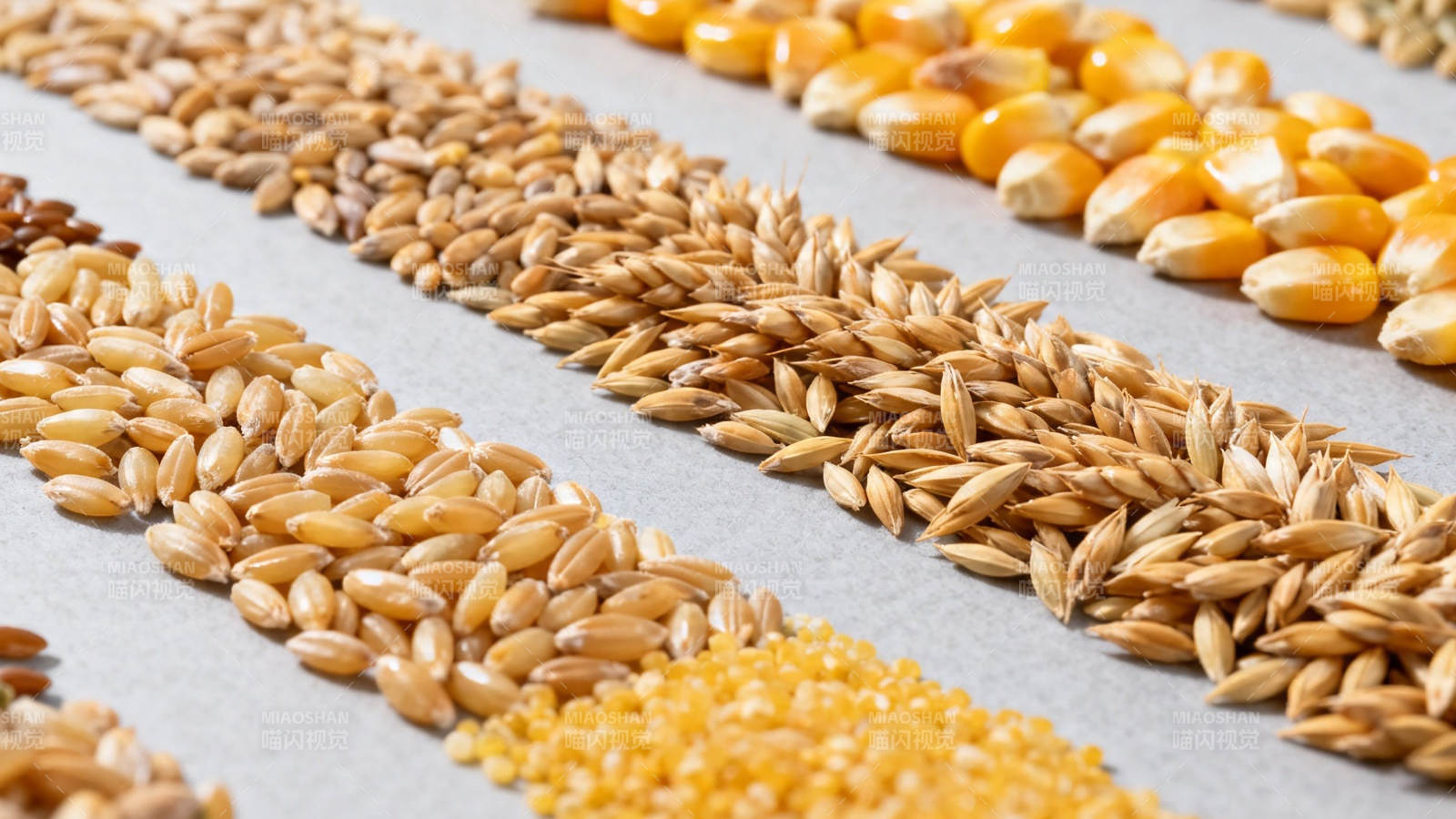 五谷杂粮整齐排列展示图片