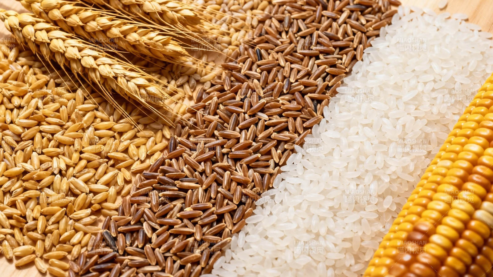 五谷丰登 稻麦玉米杂粮图图片