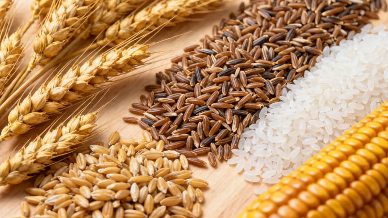 五谷丰登 粮满仓廪图片