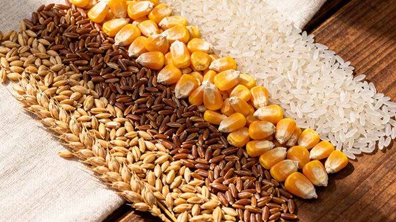 五谷杂粮 健康之源图片