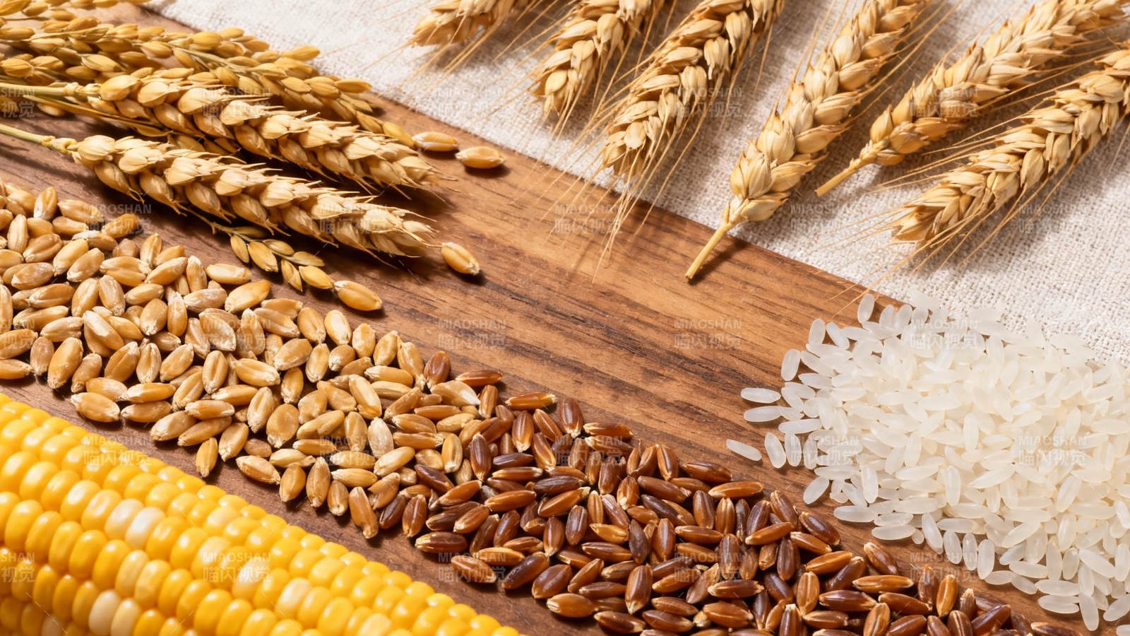 五谷丰登 稻麦玉米杂粮图图片