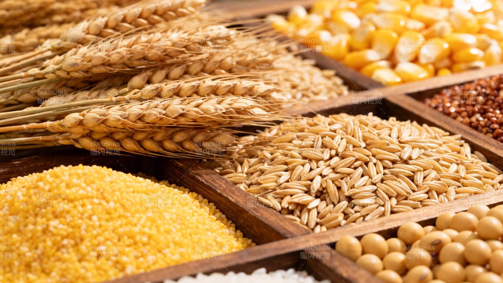 五谷丰登 粮仓满溢图片