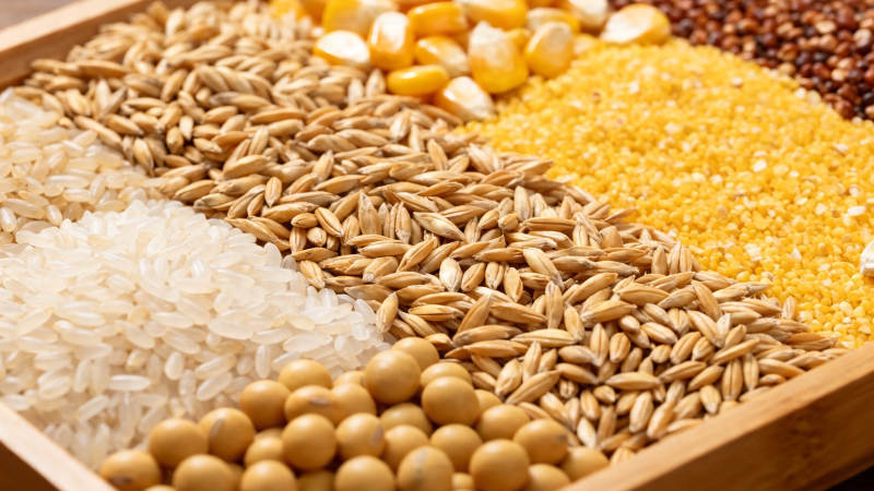 五谷杂粮丰富多样图片