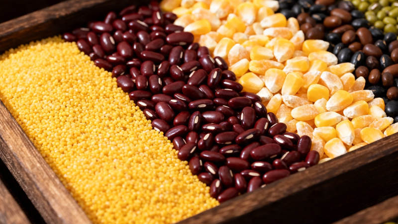 五谷杂粮 营养健康图片