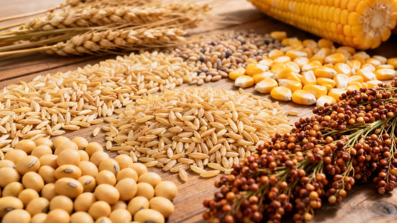 五谷丰登 粮满仓廪图片