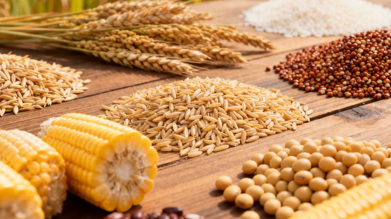 五谷丰登 粮满仓廪图片