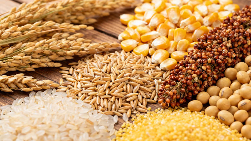 五谷丰登 粮满仓廪图片