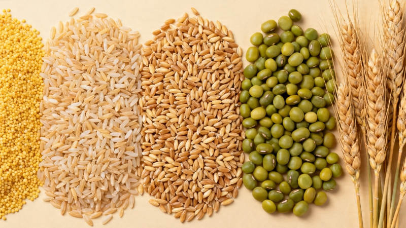 五谷杂粮 健康之源图片