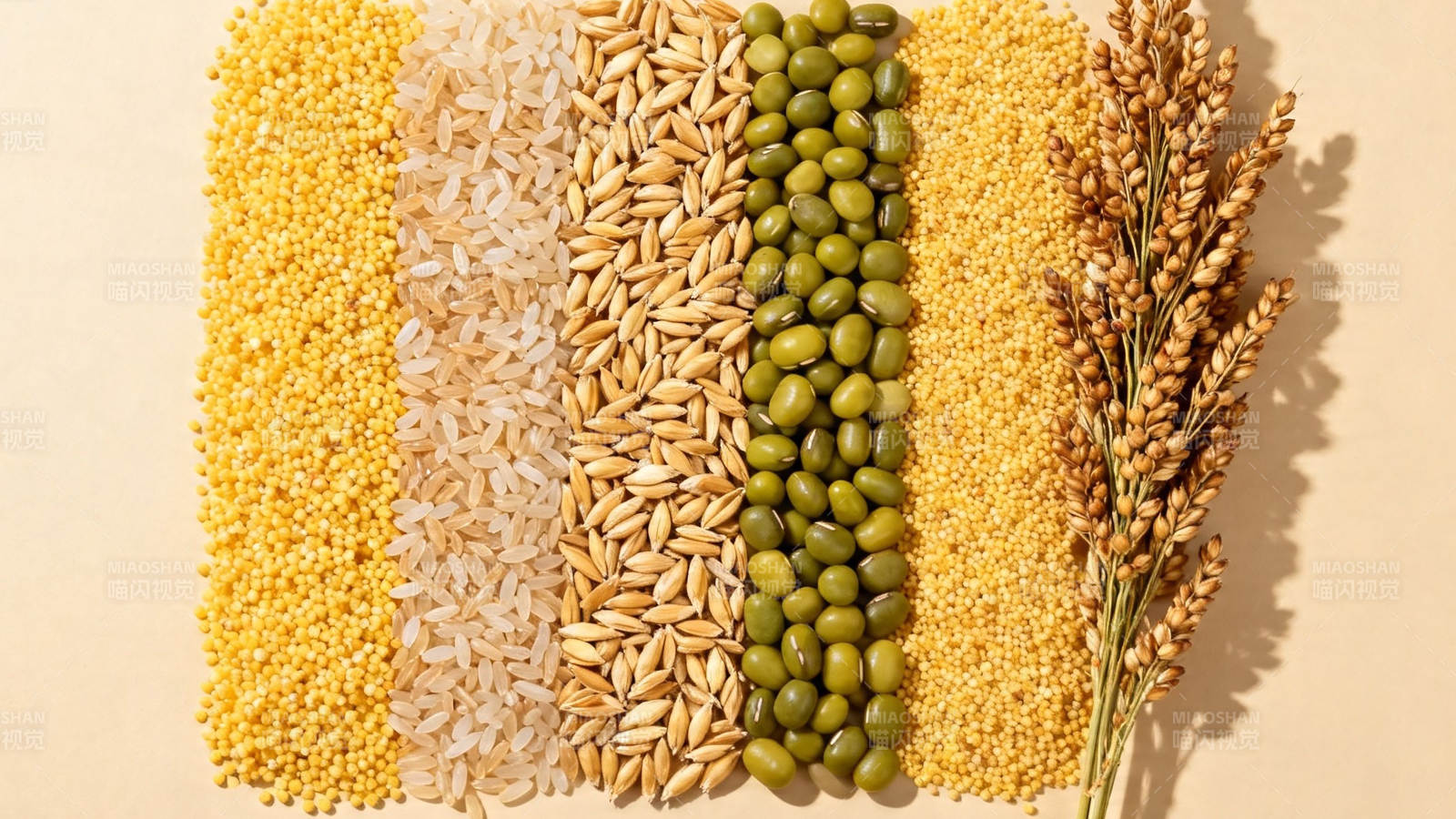 五谷杂粮 自然馈赠图片