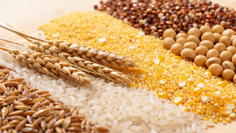 五谷杂粮 营养丰富图片