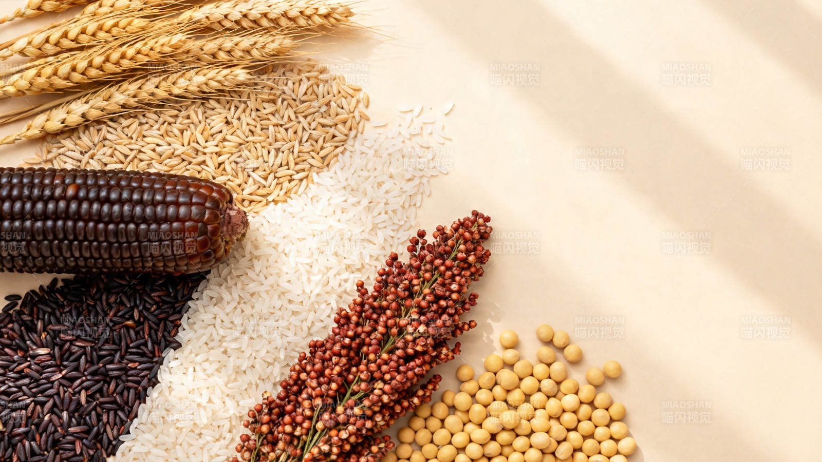 五谷丰登 粮满仓廪图片