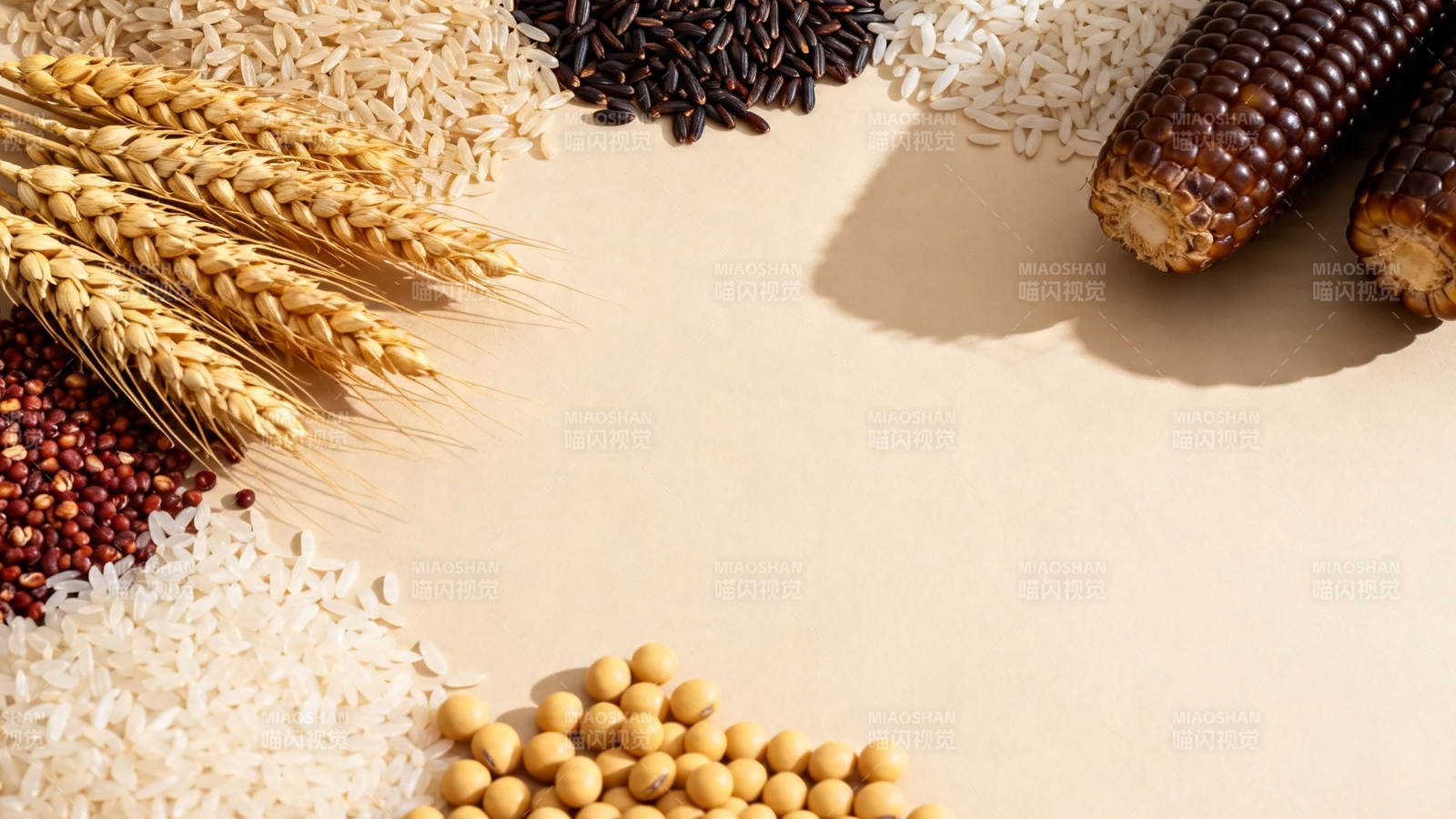 五谷丰登 粮满仓廪图片