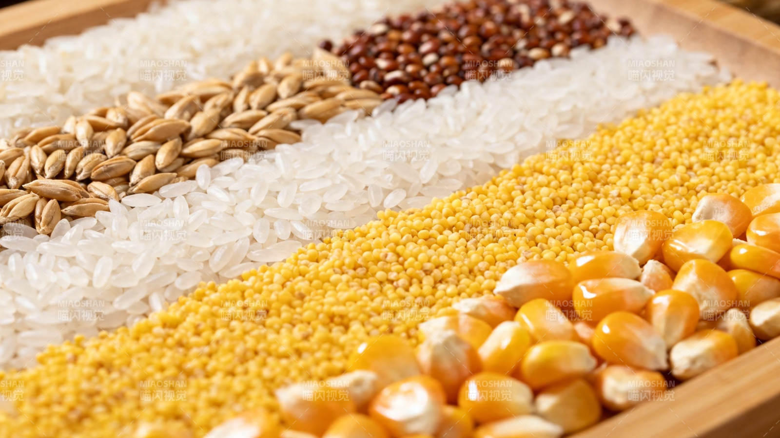 五谷杂粮展示图图片