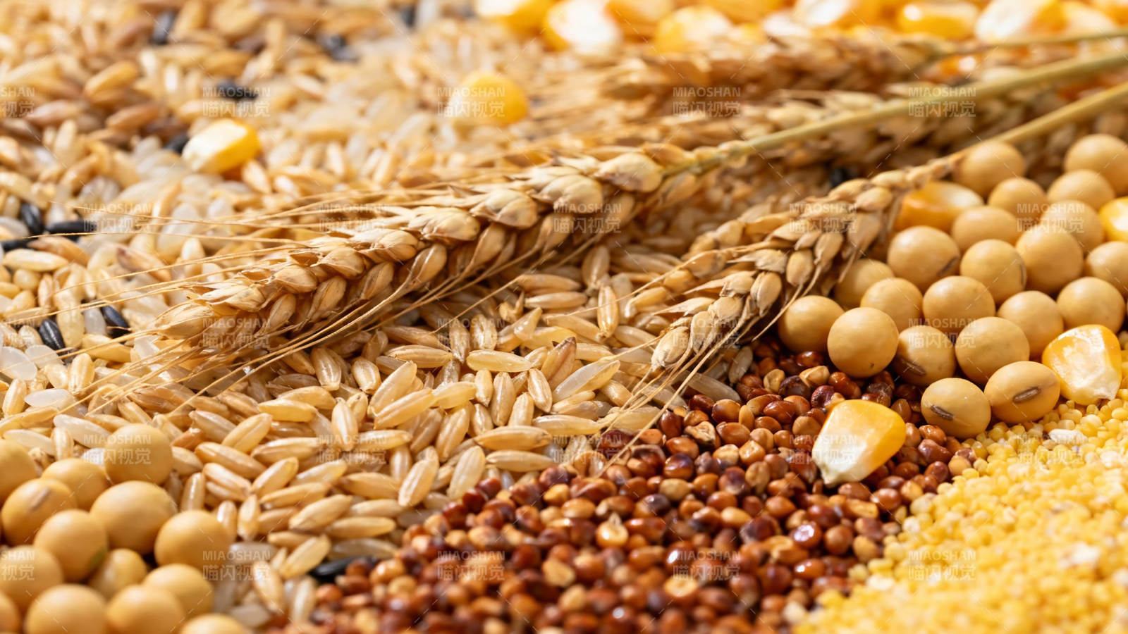 五谷丰登 粮满仓廪图片