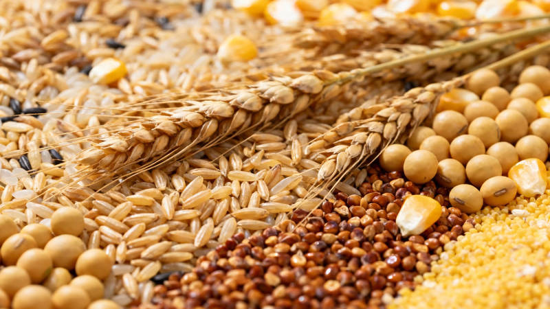 五谷丰登 粮满仓廪图片