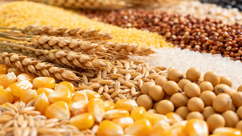 五谷丰登 粮满仓廪图片