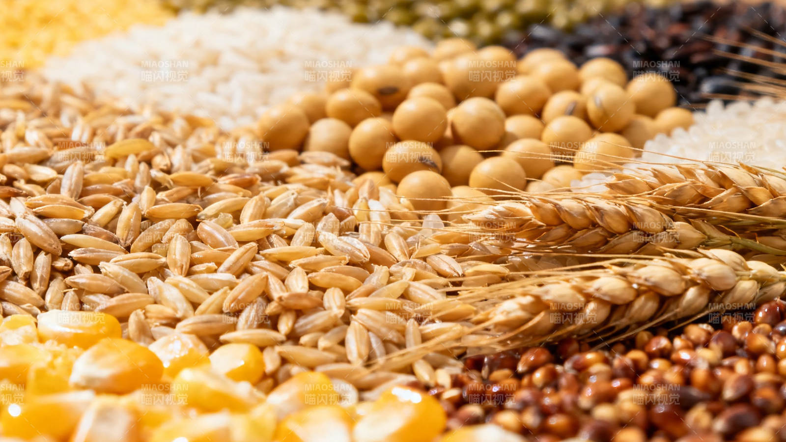 五谷丰登 粮满仓廪图片