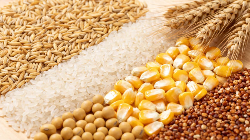 五谷丰登 稻麦玉米豆高粱图片