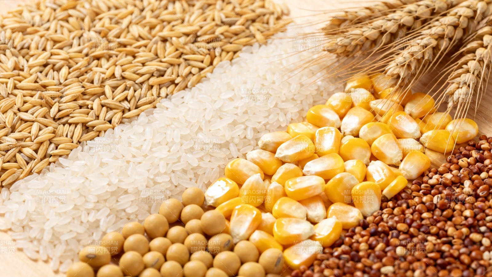 五谷丰登 稻麦玉米豆高粱图片