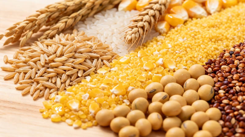 五谷杂粮丰收图图片