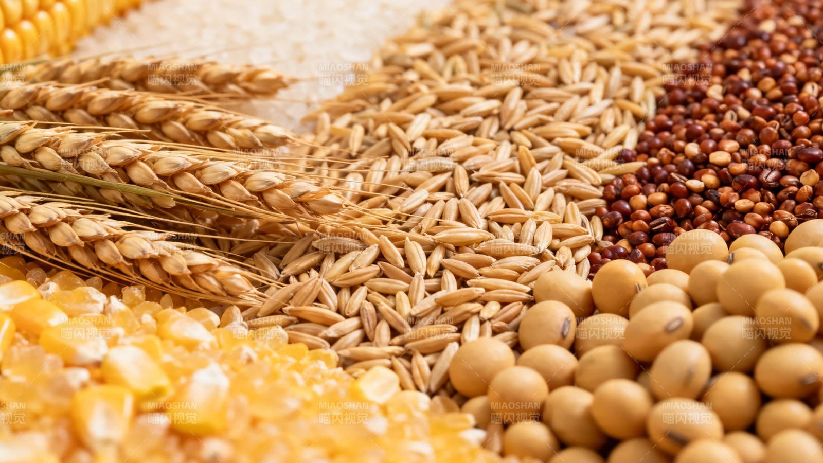 五谷丰登 粮满仓廪图片