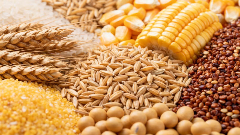 五谷丰登 粮仓满溢图片