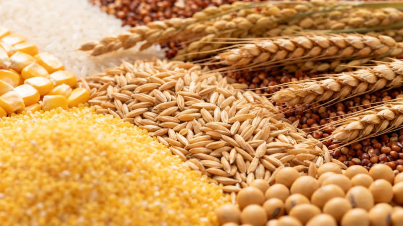 五谷丰登 粮满仓廪图片