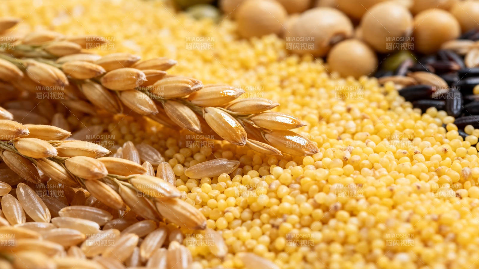 五谷丰登 粮满仓廪图片