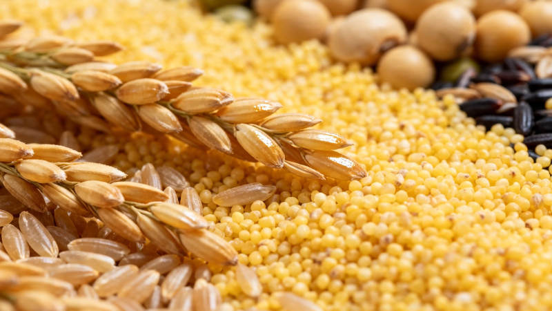 五谷丰登 粮满仓廪图片