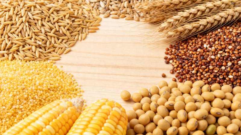 五谷丰登 粮满仓廪图片