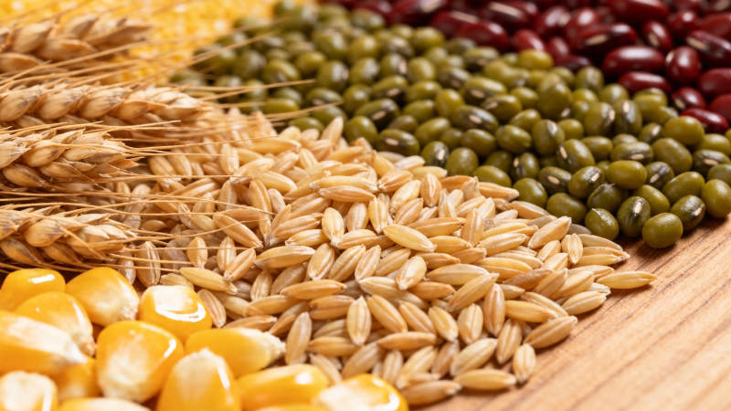 五谷杂粮丰收图图片