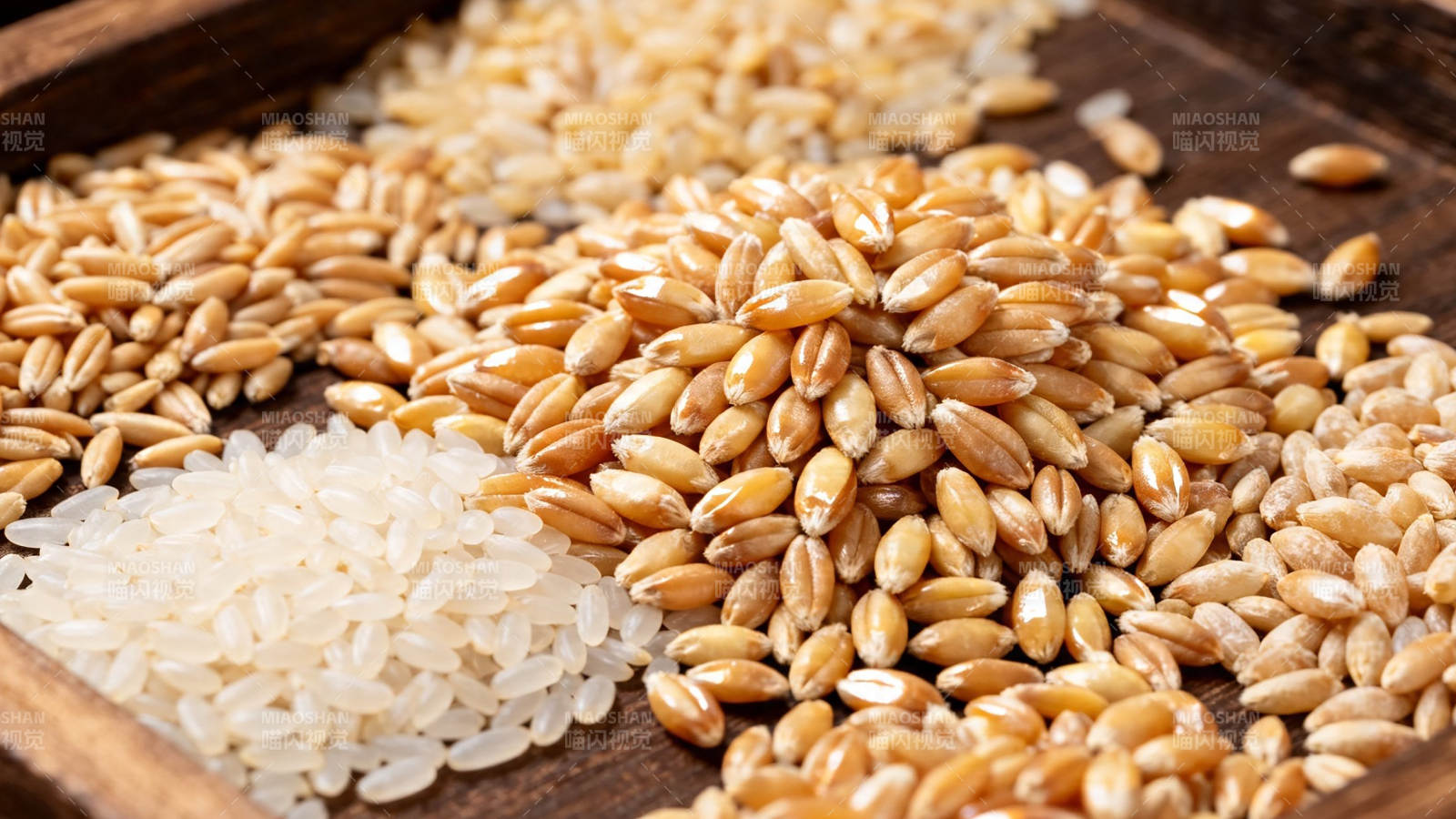 五谷杂粮拼盘特写图片