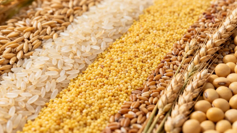 五谷丰登 粮满仓廪图片