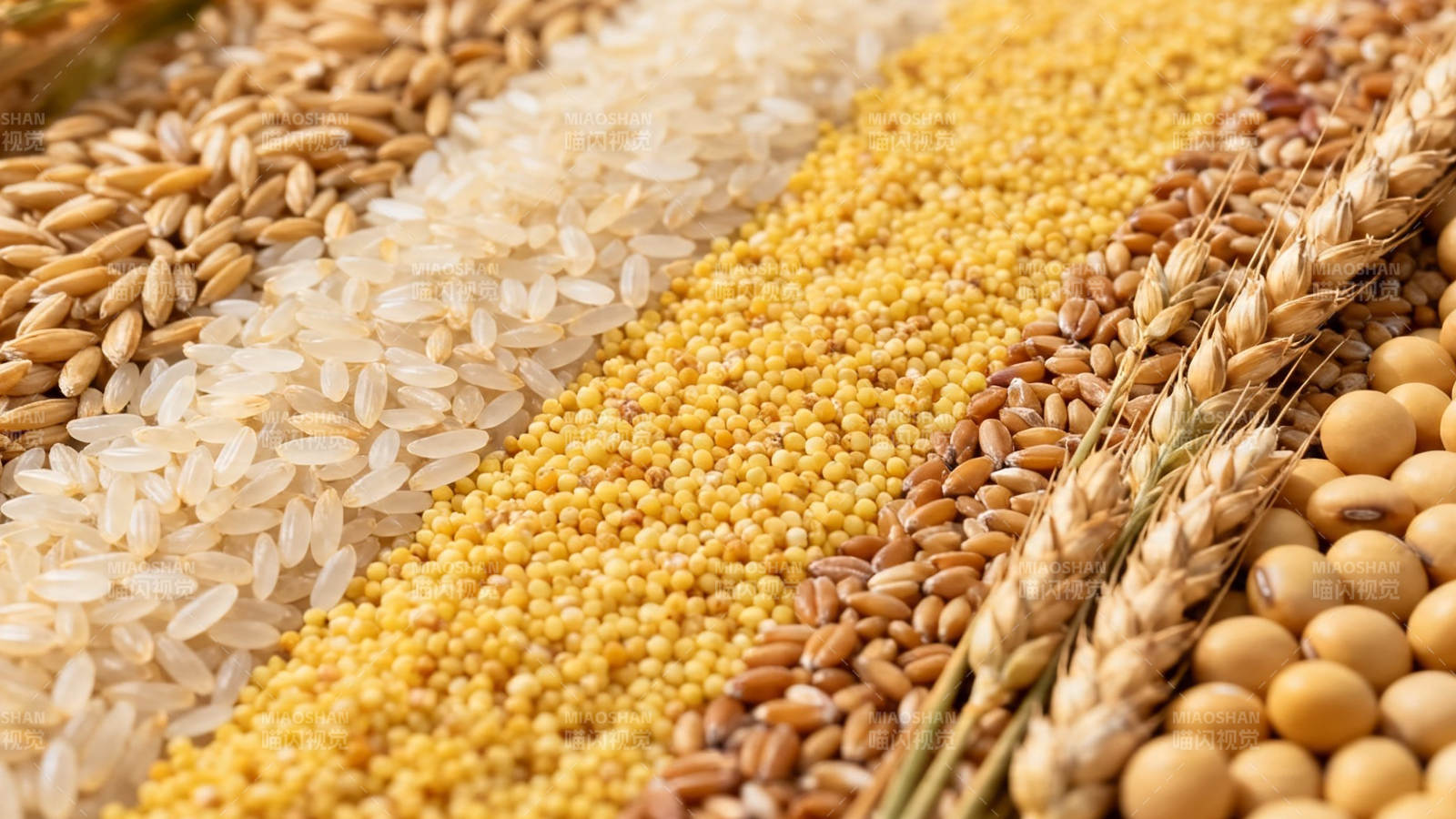 五谷丰登 粮满仓廪图片