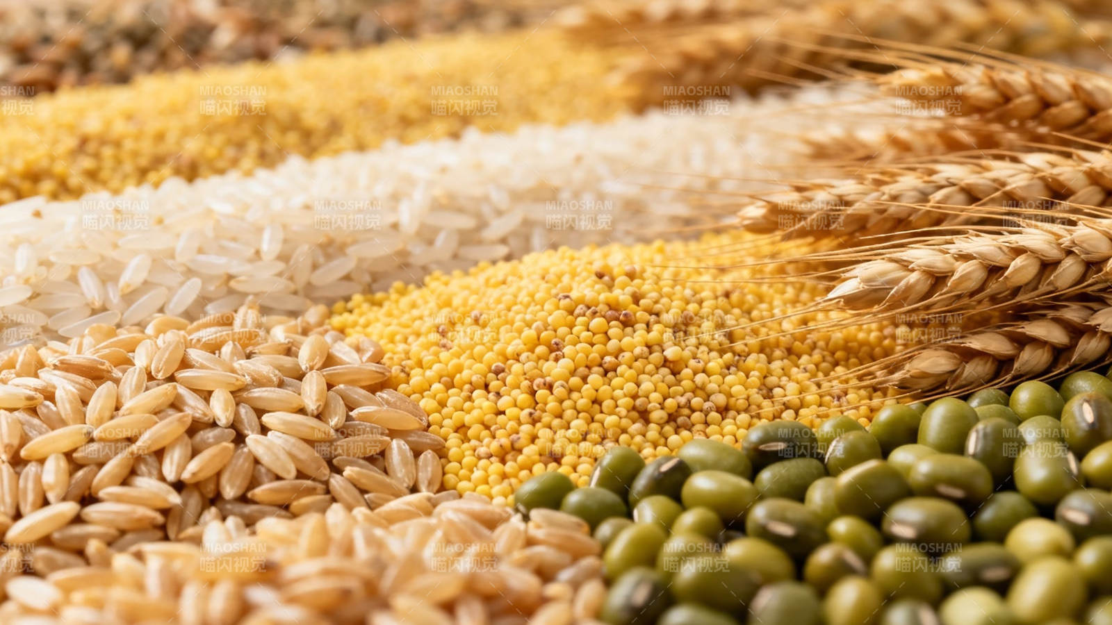 五谷丰登 粮满仓廪图片