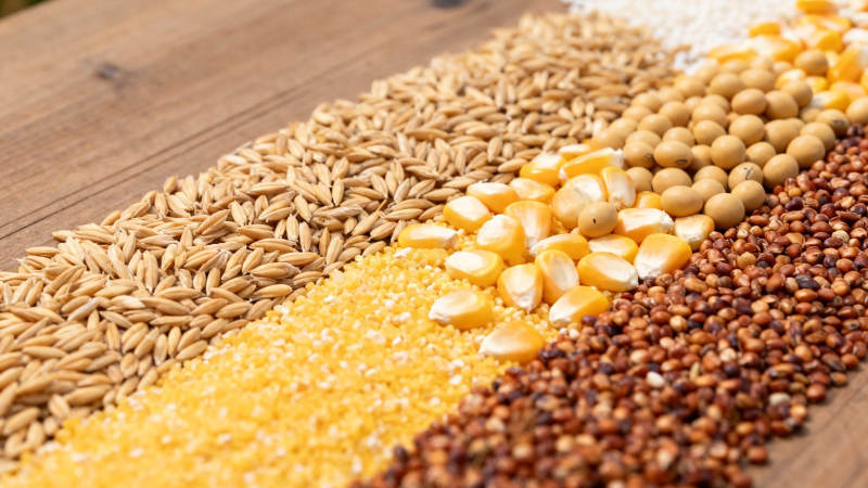 五谷杂粮铺满木桌图片