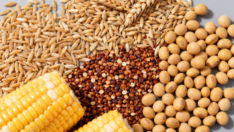 五谷杂粮丰收图图片