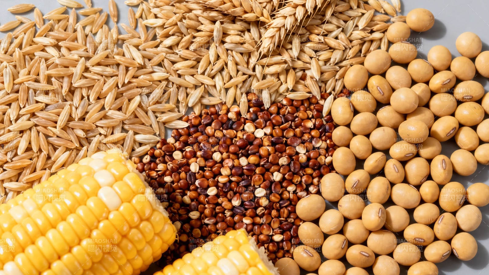 五谷杂粮丰收图图片