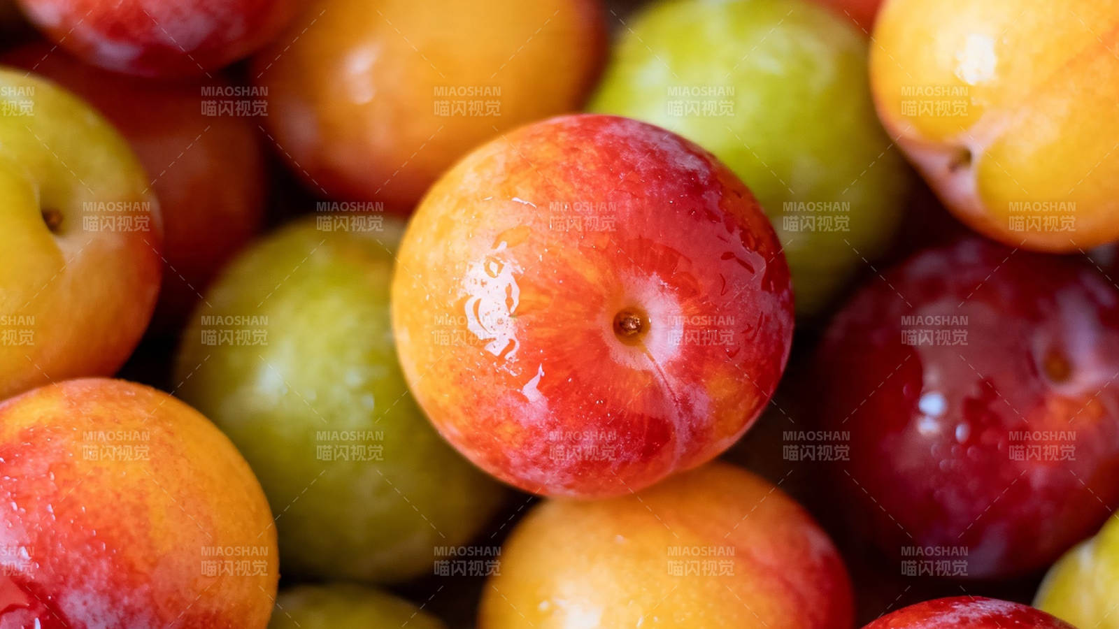 多彩李子 鲜亮诱人图片