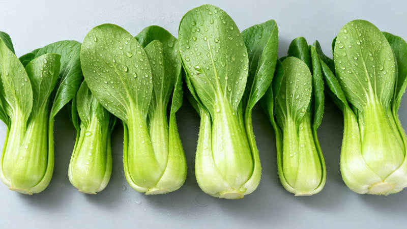 新鲜青菜排排站 水珠晶莹惹人爱图片