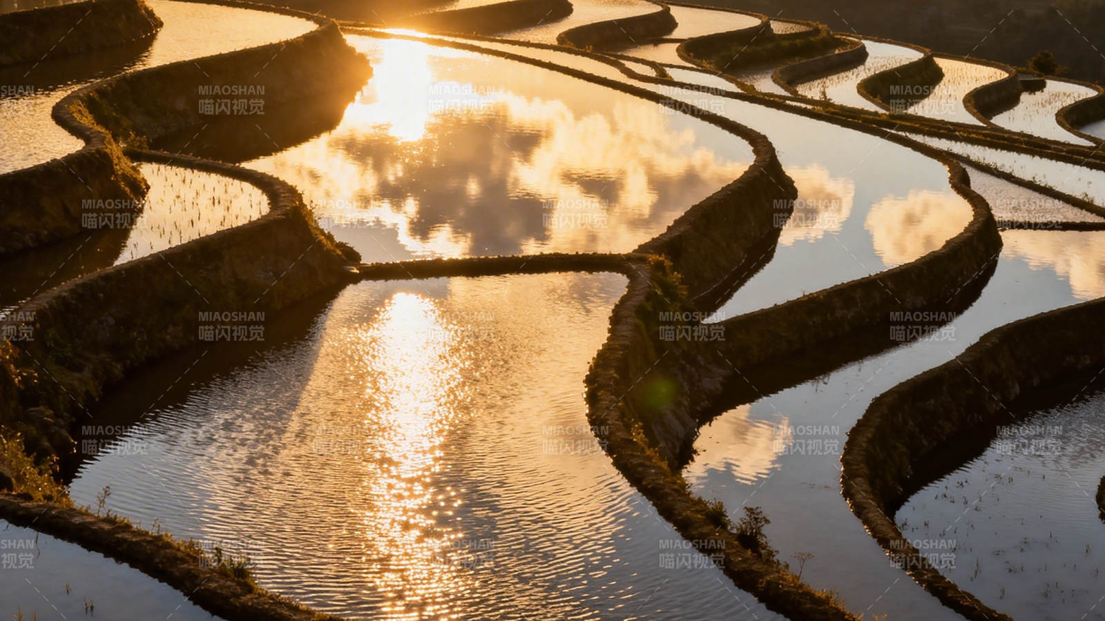 梯田映霞 云水共舞图片