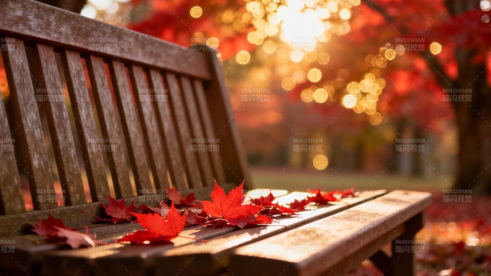 秋阳红叶伴长椅图片